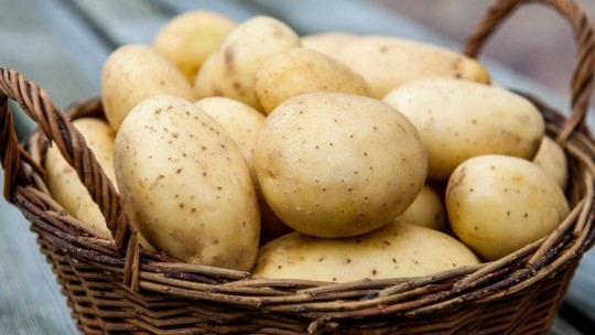 картофель